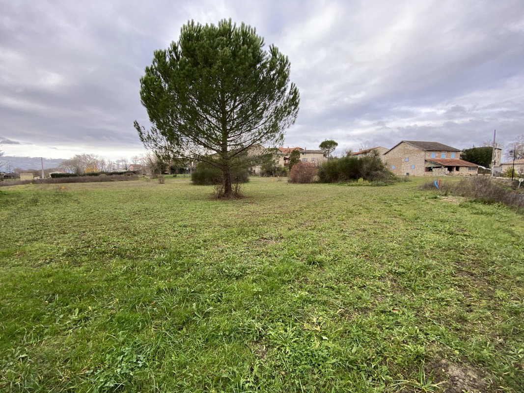 Terrain  - 700m² - GAILLAC GAILLAC