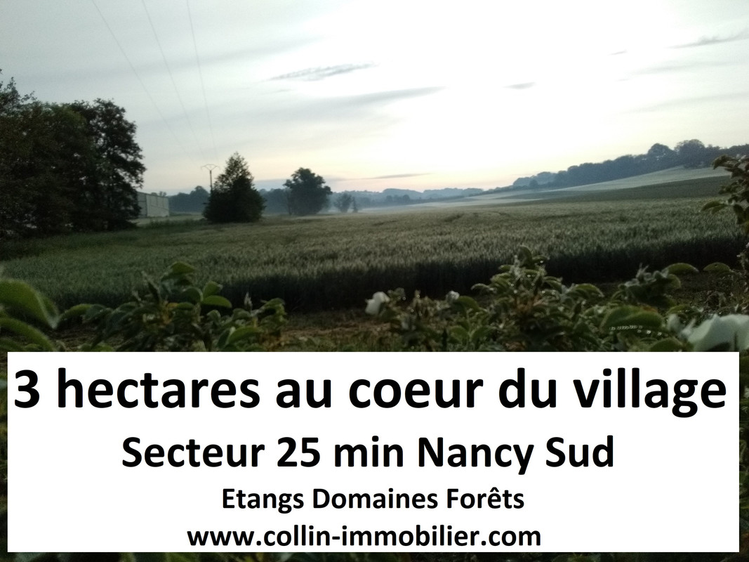 Terrain  - 30 000m² - NANCY NANCY