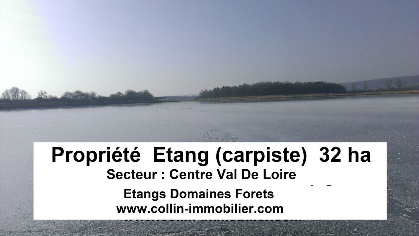 Terrain  - 330 000m² - MOULINS MOULINS