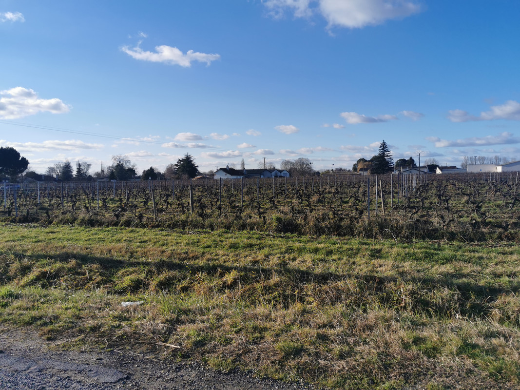 Terrain  - 661m² - ST EMILION ST EMILION