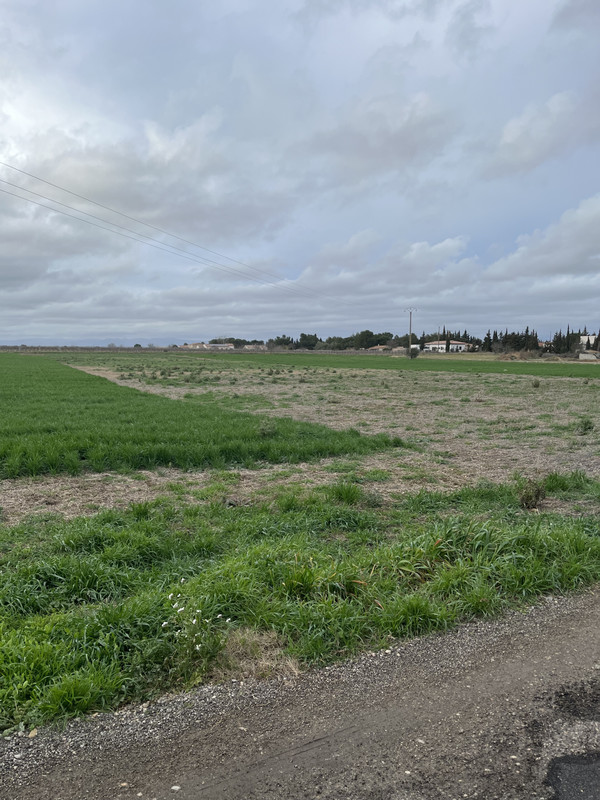 Terrain  - 10 900m² - CANET CANET