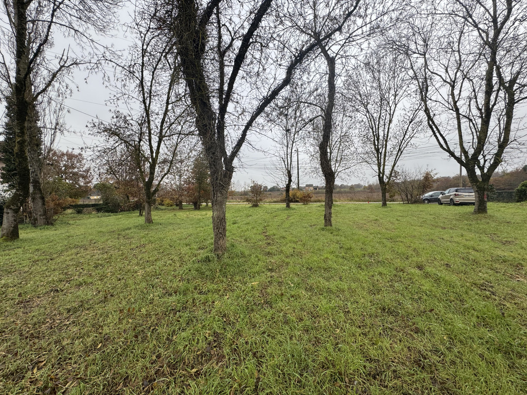 Terrain  - 1 288m² - MONTAUBAN MONTAUBAN